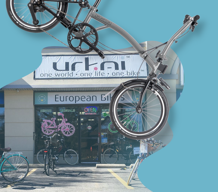 Dutch bicycle for sale hotsell